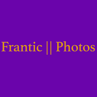 Frantic Photos 1089703 Image 4
